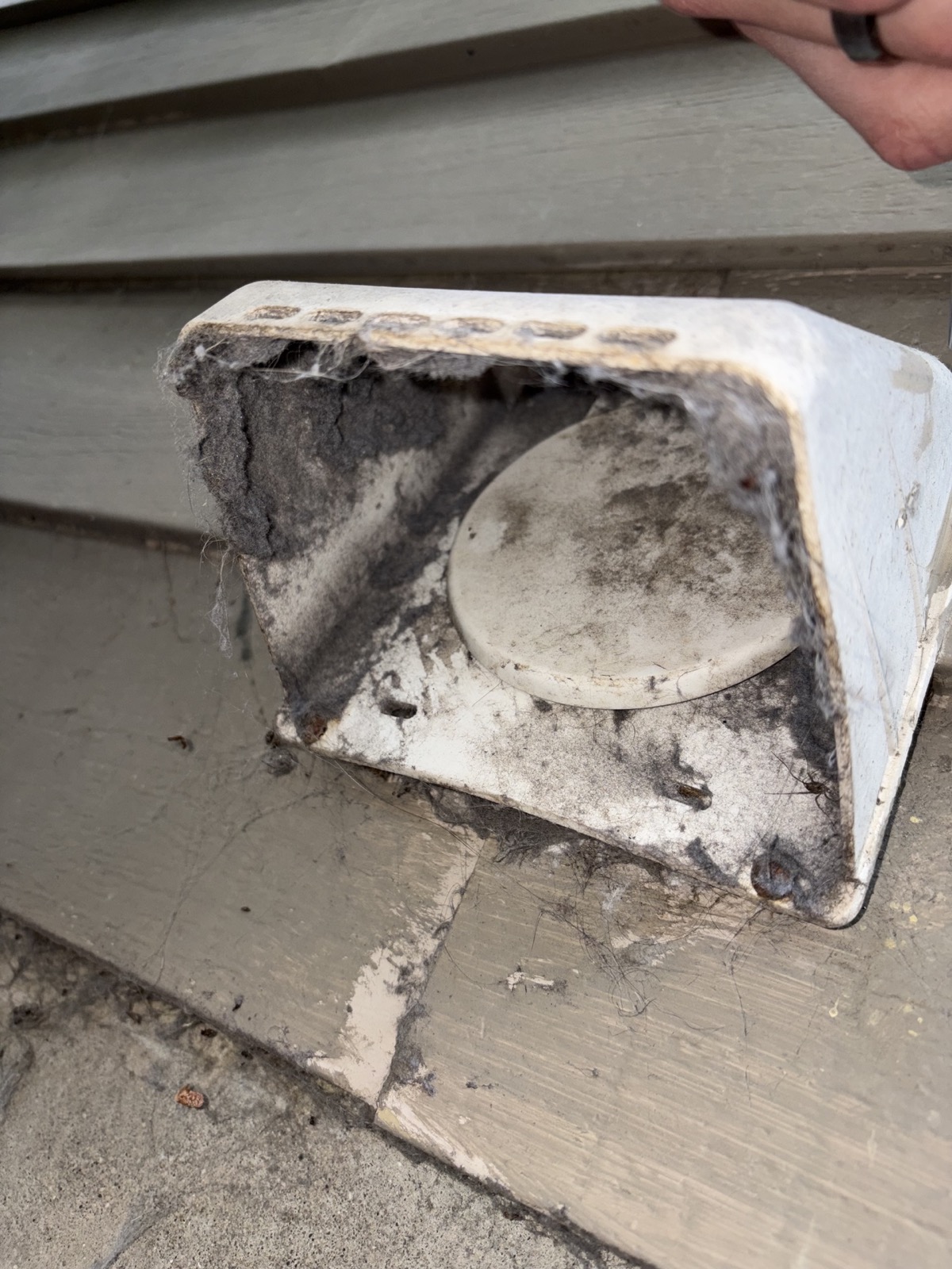 Dirty exterior dryer vent cover before cleaning